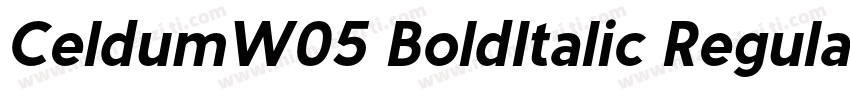 CeldumW05 BoldItalic Regular字体转换